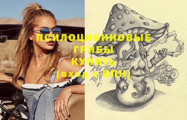 гидропоника Верея