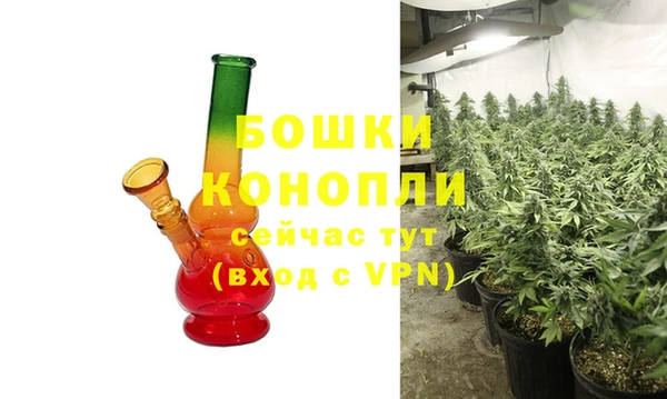 Альфа ПВП Бородино